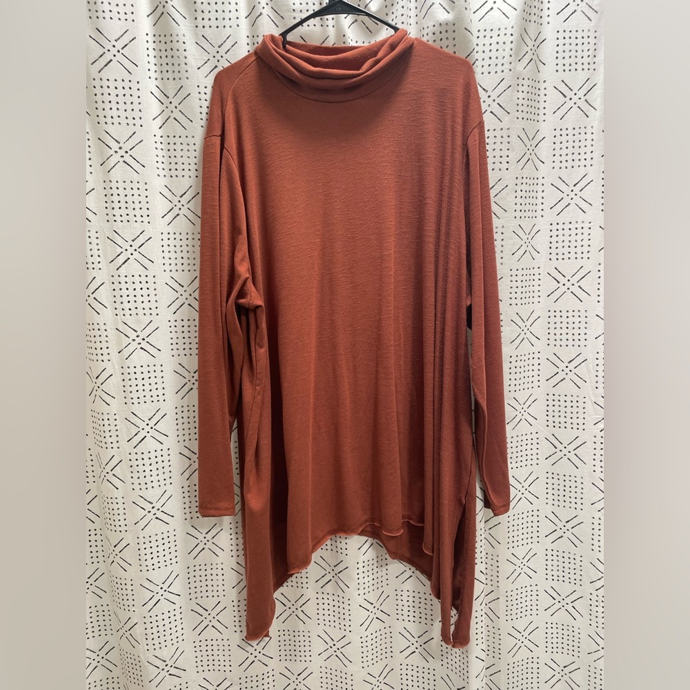Turtle neck like long sleeve tshirt dress!